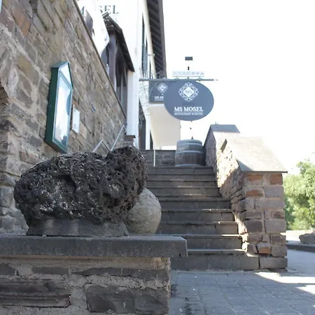 Ms Mosel Hotel 3*