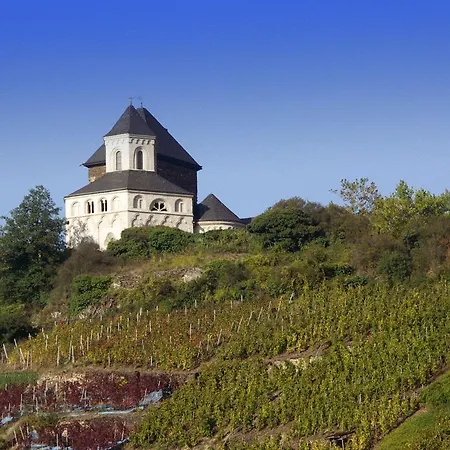 Ms Mosel 3*