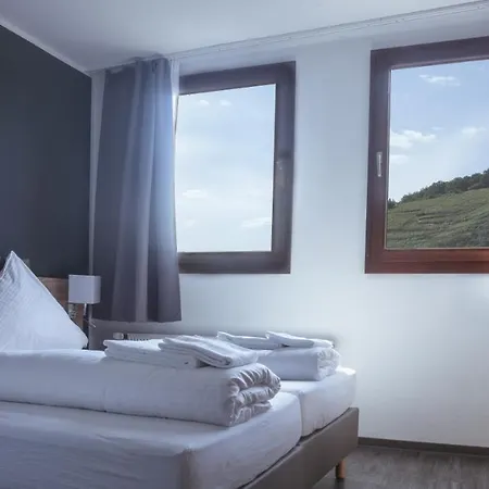 Hotel Ms Mosel 3*